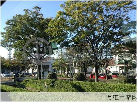 畅玩校园生活模拟器 2,趣味无限的休闲之旅
