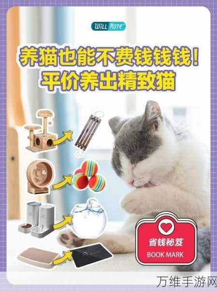 来钱猫分红版,趣味养猫赚钱手游全攻略