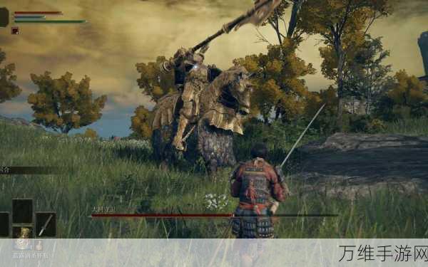 艾尔登法环新手攻略,武士开局路线与职业推荐深度解析