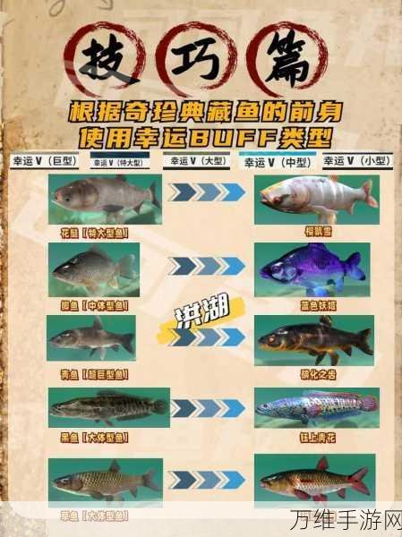 钓鱼大师秘籍,解锁典藏神兽鱼的终极攻略