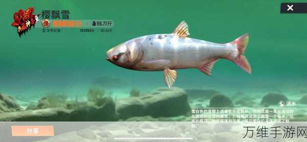 钓鱼大师秘籍,解锁典藏神兽鱼的终极攻略