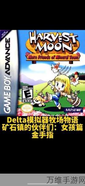 手游秘籍大公开,Delta模拟器金手指代码实战攻略