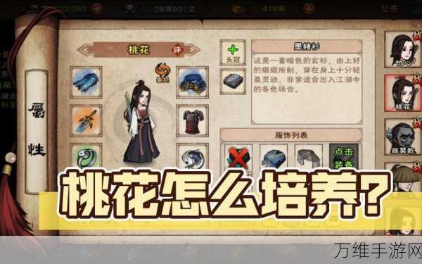 烟雨江湖高手秘籍,桃花角色武功搭配全攻略