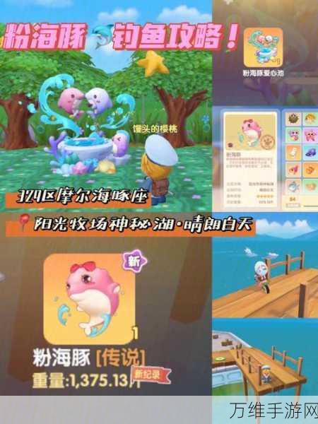 摩尔庄园钓鱼攻略,揭秘鲨鱼出没地点与垂钓技巧