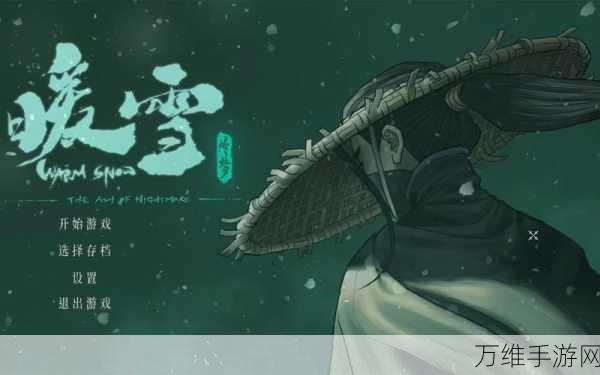 暖雪手游天胡开局秘籍,掌握这些技巧,轻松赢在起跑线!