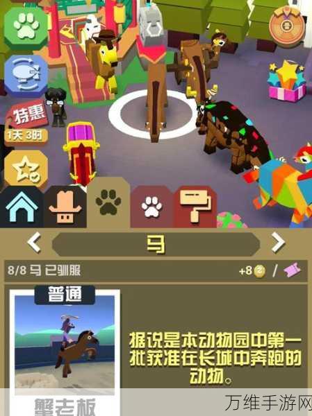 澳洲疯狂动物园,揭秘隐藏动物的奇妙之旅