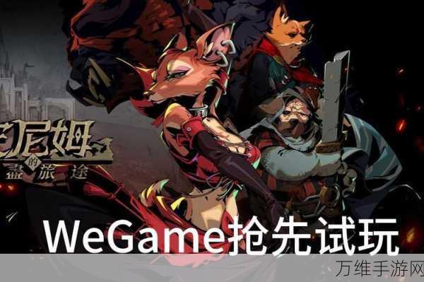 安尼姆的无尽旅途,深度解析名词效果,助你征服奇幻之旅!