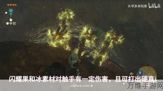 塞尔达传说,病由瘴气生任务全攻略,揭秘瘴气源头与战斗技巧!