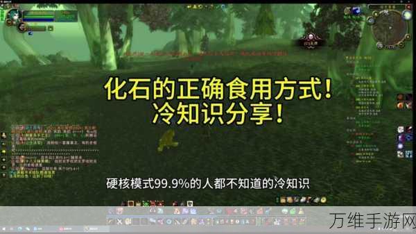 稀有怪来袭!魔兽世界稀有怪物刷新时间全揭秘