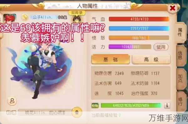 手游深度解析,梦幻西游手游中大唐与狮驼的竞技场劣势探秘