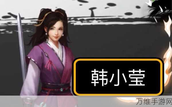 射雕手游韩小莹心仪之礼揭秘,全面攻略助你赢取芳心