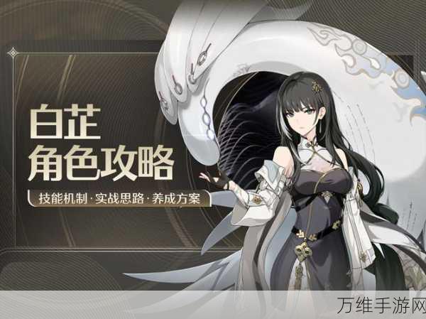鸣潮热门角色白芷深度培养指南,技能加点与实战解析