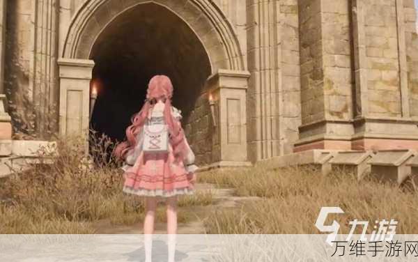 揭秘无限暖暖天星之羽珍稀套装,获取攻略与神秘位置全解析