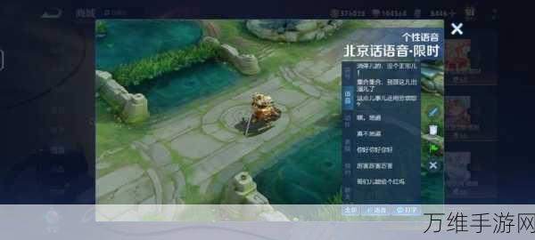 王者荣耀北京话语音包独家揭秘,获取攻略与设置教程,让你游戏更接地气!