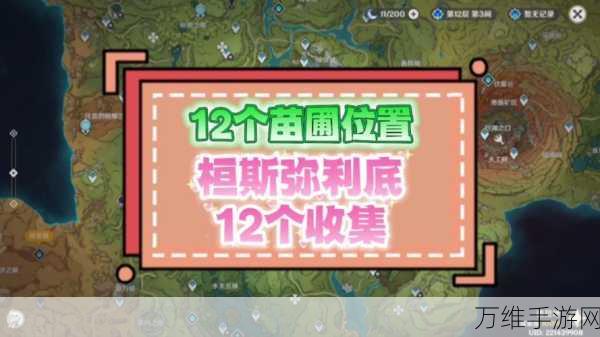 原神探索指南,揭秘恒那兰那十二苗圃全位置与攻略