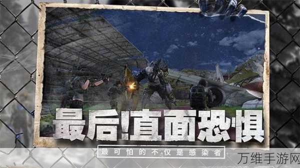 手游探索指南,揭秘创造与魔法云斑鹦鸟最新分布热点与捕捉攻略