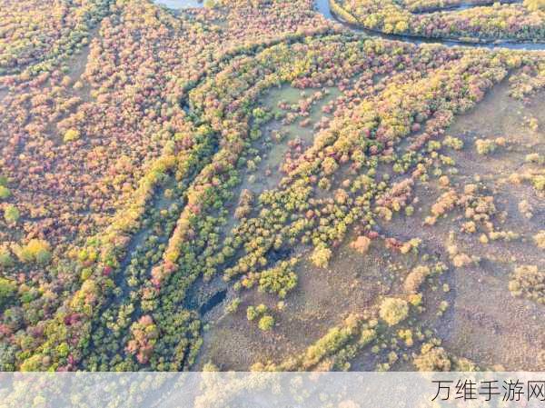 翱翔天际!无限地平线中文版飞行冒险之旅