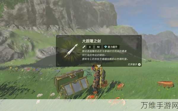 塞尔达传说王国之泪,揭秘大鼓隆之剑的传奇获取之旅