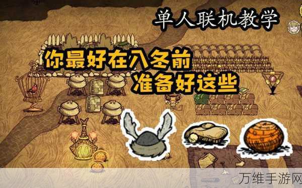 饥荒建造护符,解锁生存新境界的神奇道具