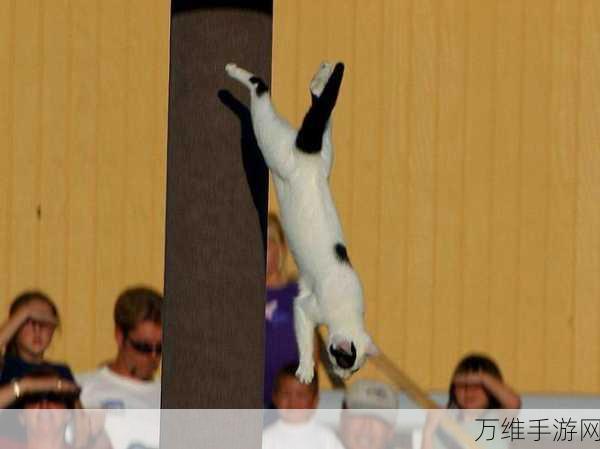 弹跳猫联机版全新来袭,与好友共赴跳跃盛宴