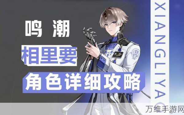 鸣潮厨师大赛,解锁等级食谱全攻略,助你成为烹饪大师!