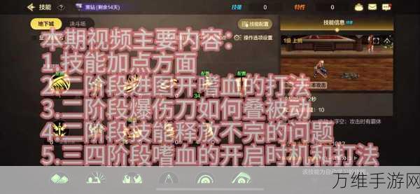 地下城与领主,萌新必备!高效升级与资源获取技巧揭秘