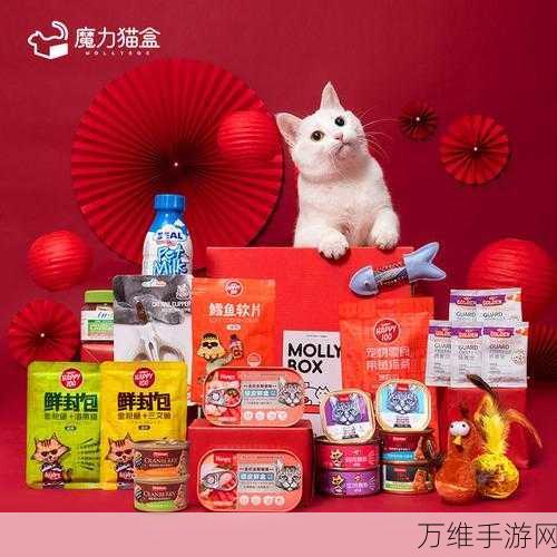 猫咪和汤,独家礼包兑换码大放送,亲测高效领取攻略!