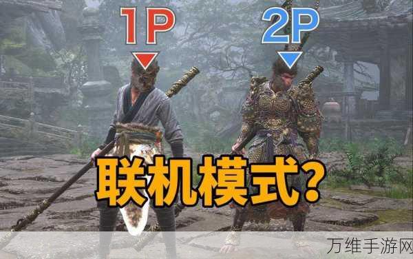 黑神话,悟空联机功能揭秘,共赴西游冒险新篇章