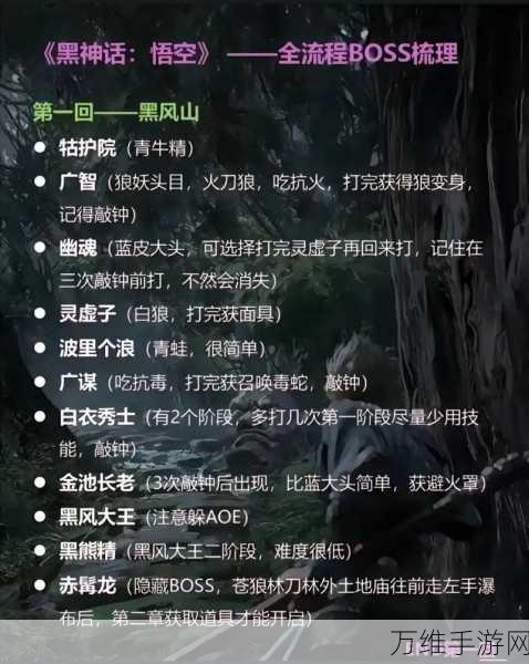 黑神话,悟空联机功能揭秘,共赴西游冒险新篇章