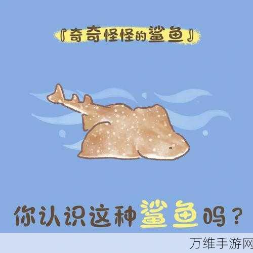 我的小鲨鱼深度攻略,解锁海洋冒险的终极秘籍