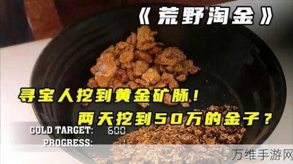 饥荒新家园,淘金秘籍大揭秘,轻松解锁金子获取攻略