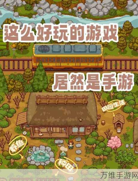绘画与评判,趣味休闲游戏的全新体验与下载指南