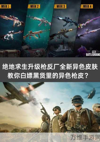 绝地求生，揭秘街头霸王皮肤获取攻略，赢取炫酷装备！