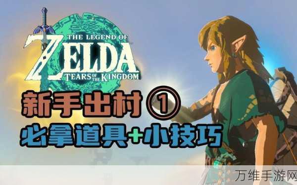 塞尔达传说王国之泪,跑图神器道具全攻略,助你探险无忧!