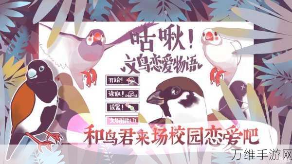 咕啾文鸟恋爱物语,独特 AVG 玩法的鸟类恋爱养成手游全攻略