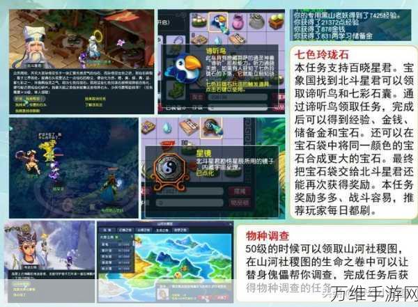 梦幻西游手游深度解析,玲珑石的奇妙用途与获取攻略