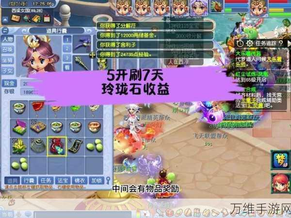 梦幻西游手游深度解析,玲珑石的奇妙用途与获取攻略