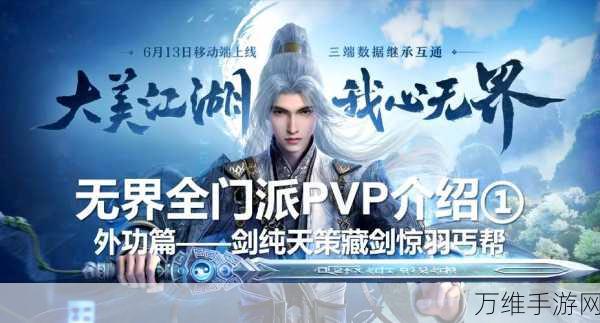 剑网3高手秘籍,无界剑纯深度攻略与竞技实战技巧