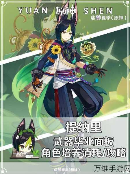 原神提纳里圣遗物搭配全攻略,解锁角色潜能,征服提瓦特大陆!