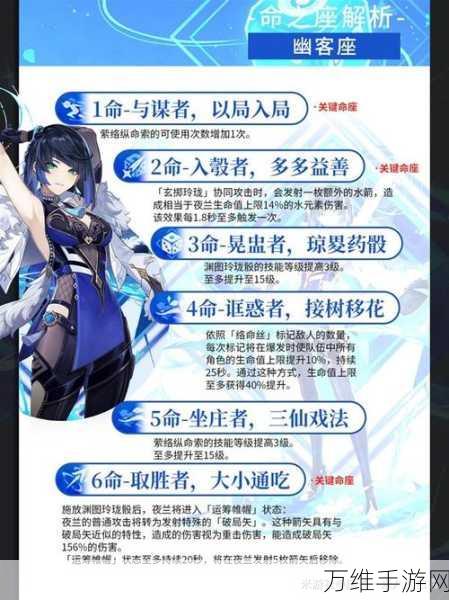 原神提纳里圣遗物搭配全攻略,解锁角色潜能,征服提瓦特大陆!