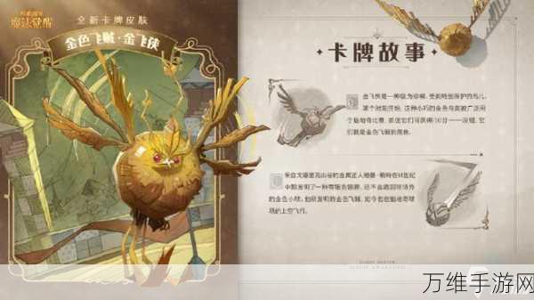 哈利波特魔法觉醒,解锁飞天扫帚的奇幻之旅全攻略