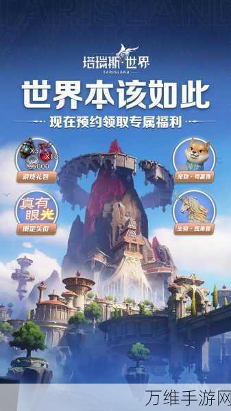 塔瑞斯世界畅玩指南,揭秘高效运行所需配置详情