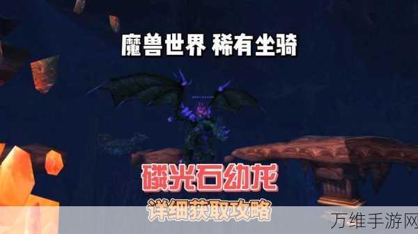 魔兽世界,揭秘马默杜克稀有坐骑的获取攻略