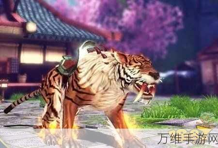 太极熊猫 3 猎龙小米版，震撼动作战斗之旅
