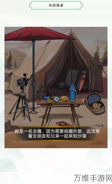 失落的飞船,精致画面与烧脑解谜的休闲之旅
