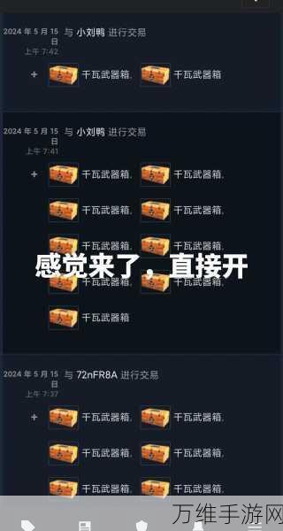 CSGO茄子力荐,揭秘热门开箱网站与开箱盛宴
