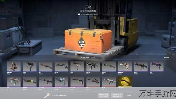 CSGO茄子力荐,揭秘热门开箱网站与开箱盛宴