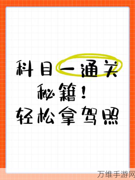 汉字找茬王救命良药关卡深度解析,策略与技巧助你轻松通关