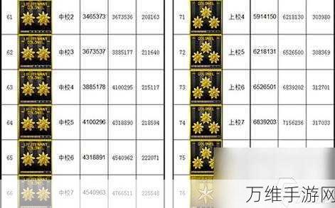 穿越火线2024军衔系统全面升级,最新等级军衔表及比赛细节揭秘