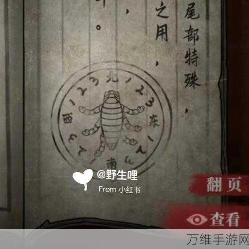 手游攻略大揭秘,山村老屋4深林魅影第四章拯救全攻略